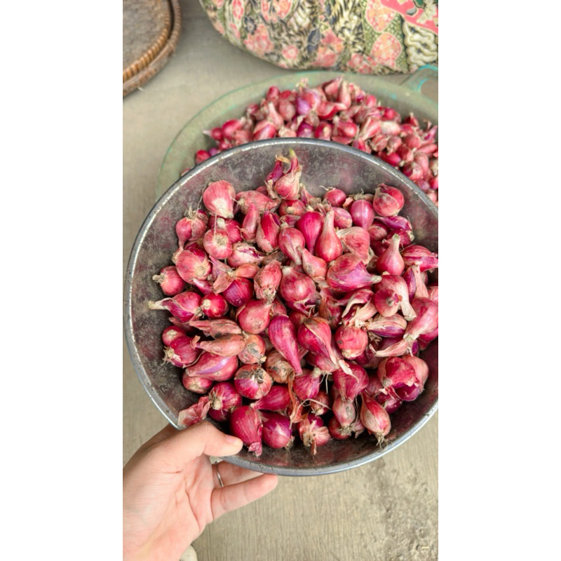 

Bawang Merah Brebes Kering Kemasan 1Kg