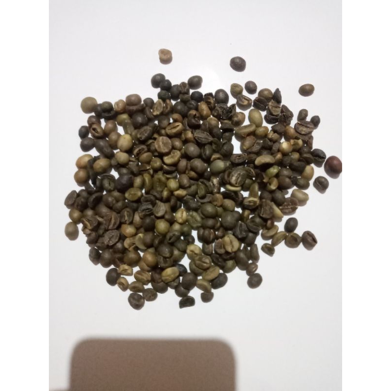Green Bean Robusta