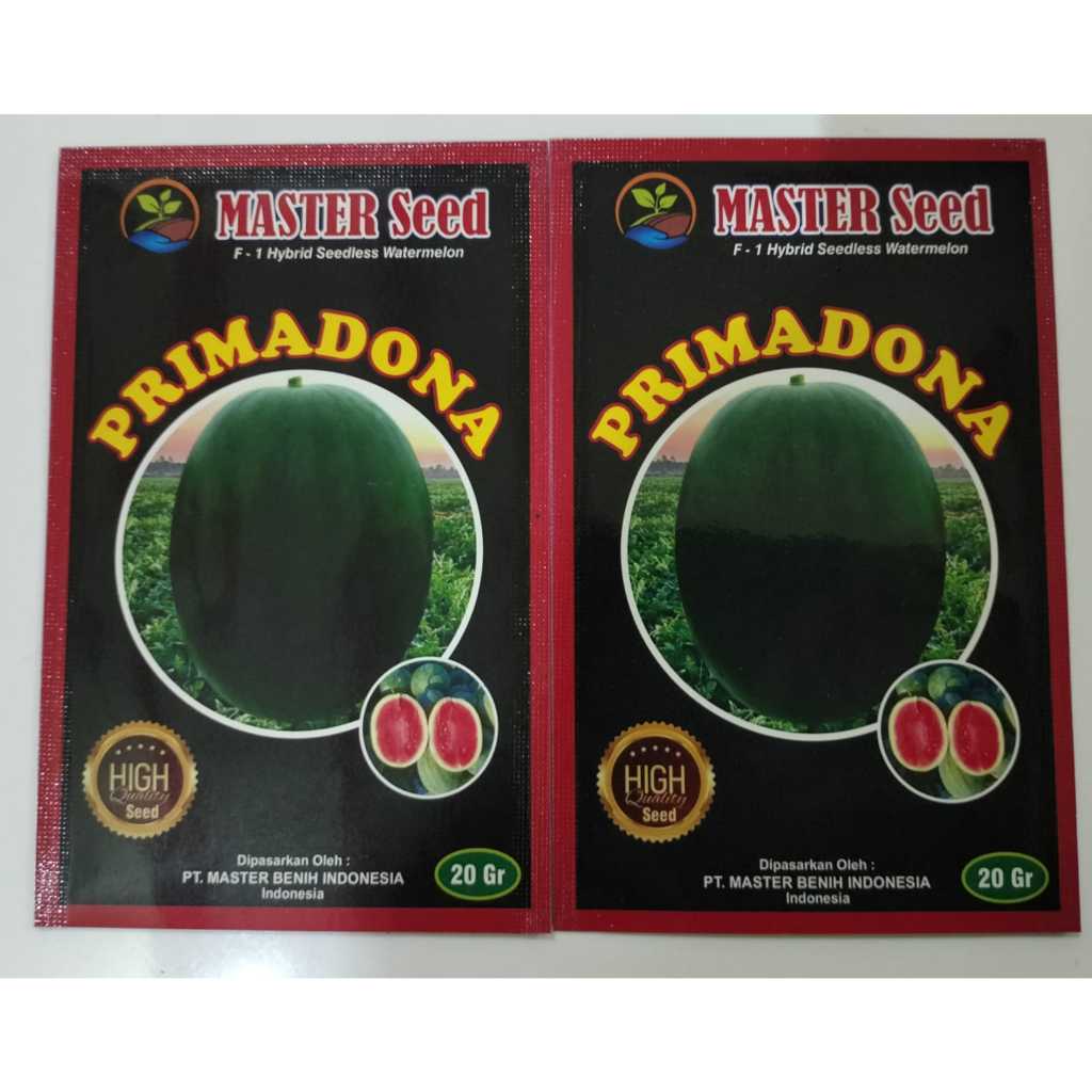 

BIBIT SEMANGKA PRIMADONA