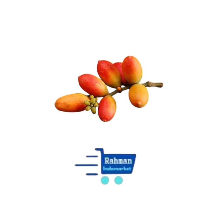 

BUAH MELINJO 250gr fresh