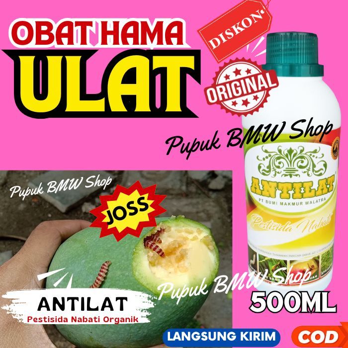 ANTILAT 500ML 100% Original Obat Hama Ulat, Belalang, dan Tikus Sawah