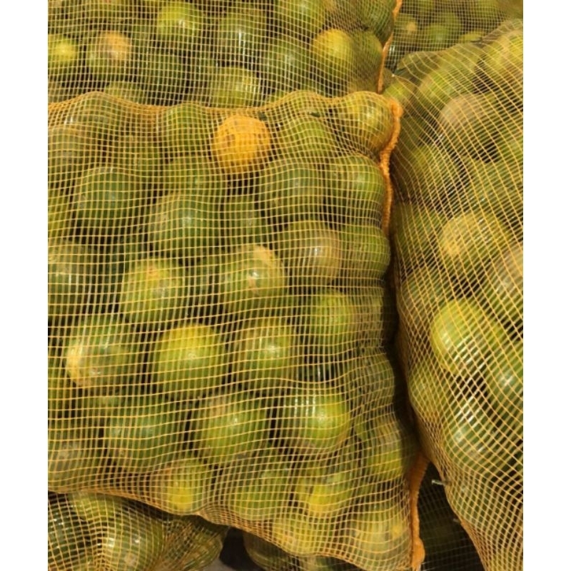 

Jeruk Peras Pacitan Baby Java 1 kg