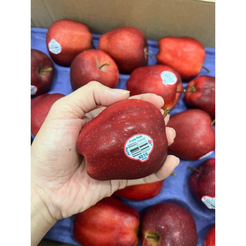 

Apel Merah Washington USA Amerika RED delicious baru fresh