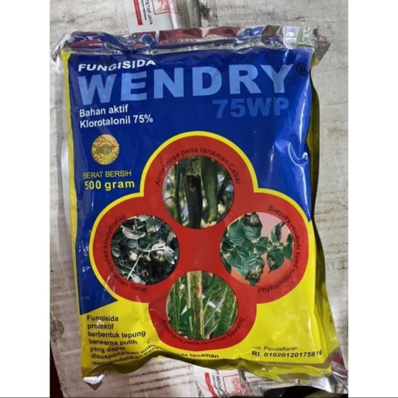 Fungisida WENDRY 75WP 500gr klorotalonil 75%