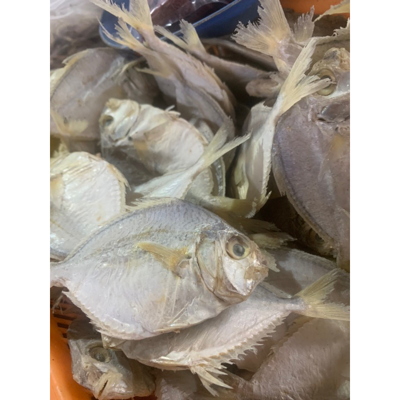 

ikan petek asin sedeng ke besar 1 kg