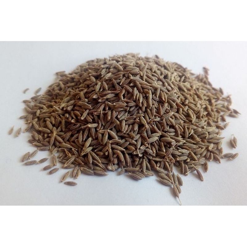 

jinten putih untuk masakan dan kesehatan