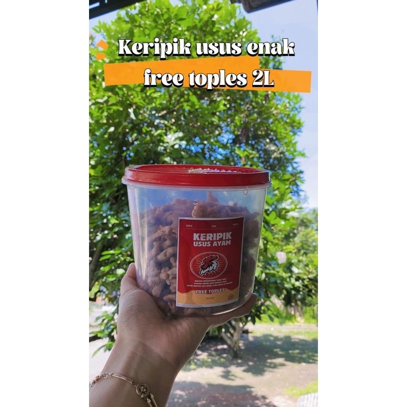 

kripik usus