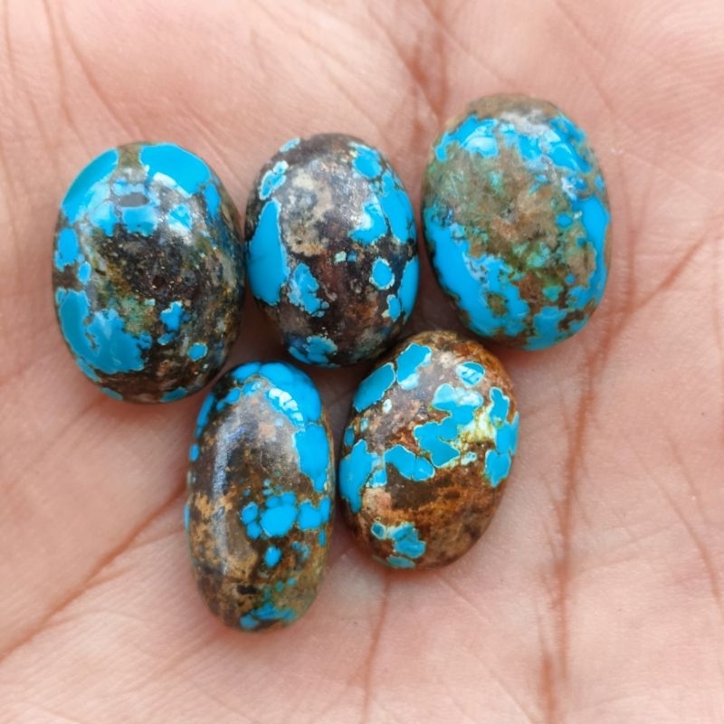NATURAL PIRUS PERSIA,PIRUS IRAN,PIRUS URAT EMAS