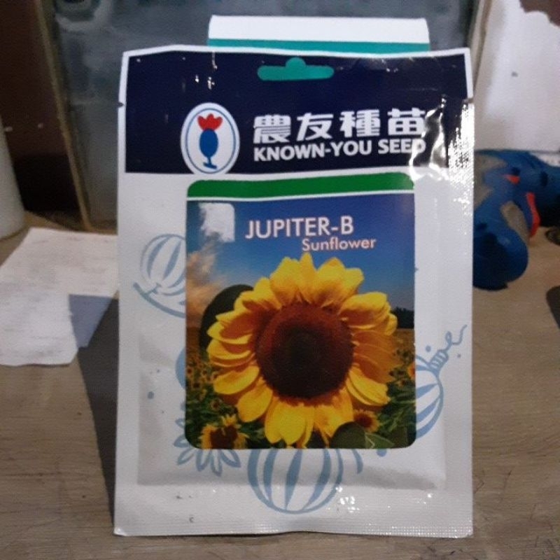 Benih Bunga Matahari