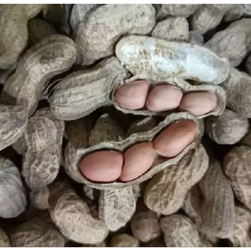

kacang tanah sangrai 1 KG
