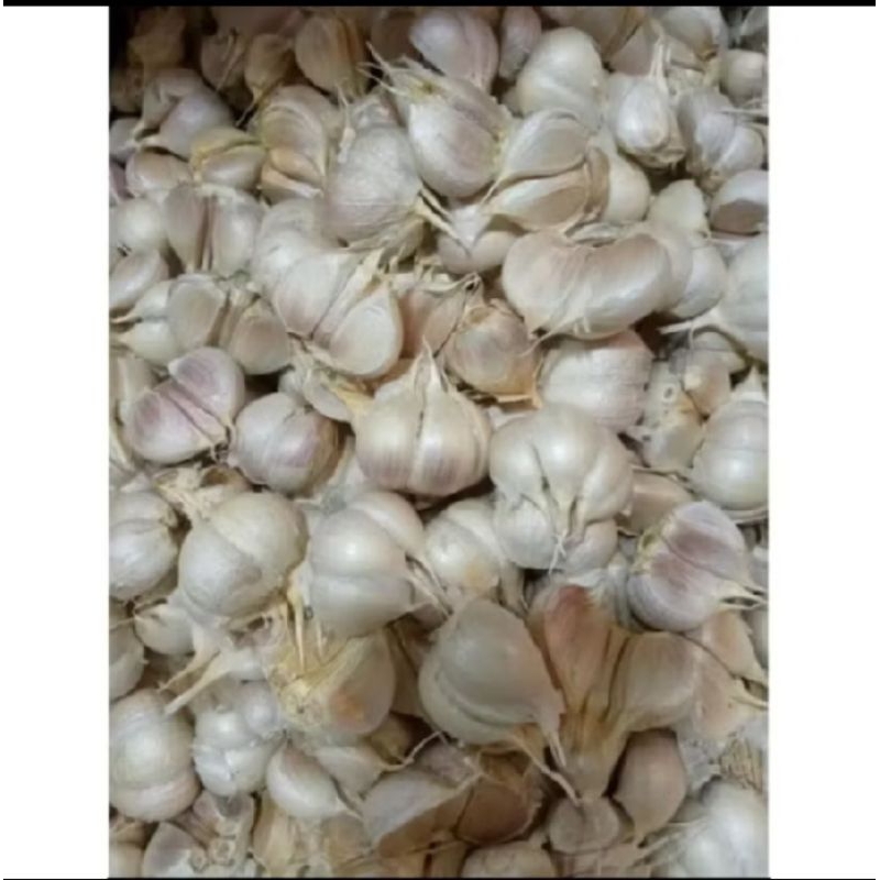 

bawang putih super berkualitas