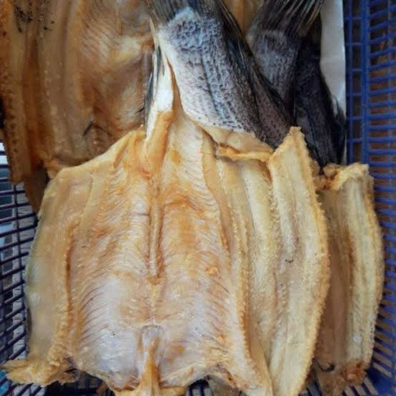 

IKAN ASIN GABUS