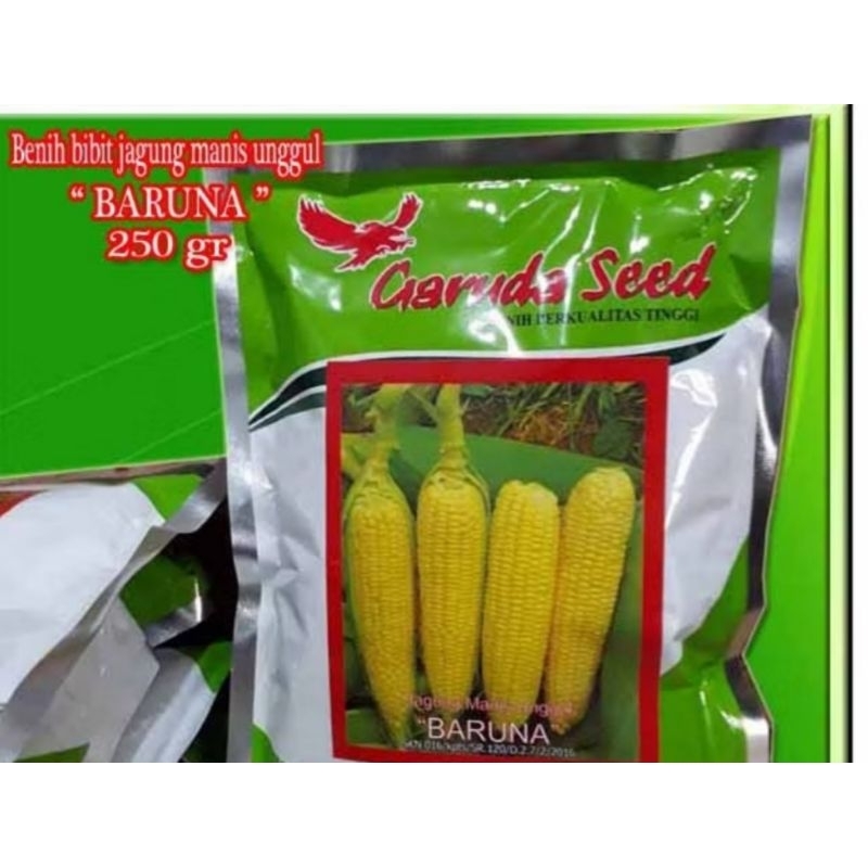 

BENIH JAGUNG MANIS HIBRIDA UNGGULAN BARUNA [250 GR]
