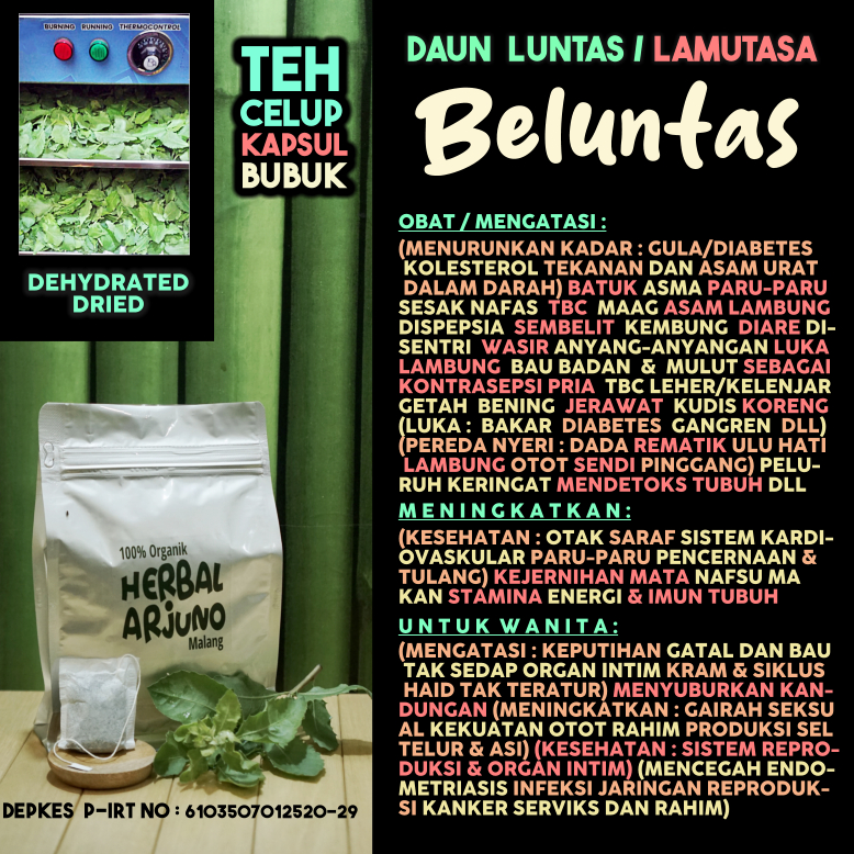 

Dehydrated Dried Teh Celup Kapsul Bubuk Daun Beluntas Luntas Obat Asma TBC Paru-Paru Leher Getah Bening Sesak Nafas Asam Lambung Urat Maag Kesuburan Rahim Hipertensi Libido Kolesterol Luka Diabetes Bau Badan Mulut Keputihan Gangren Rematik Herbal Alami