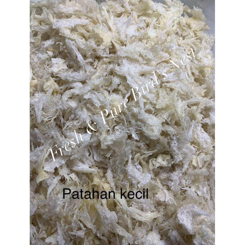 Sarang walet patahan kecil