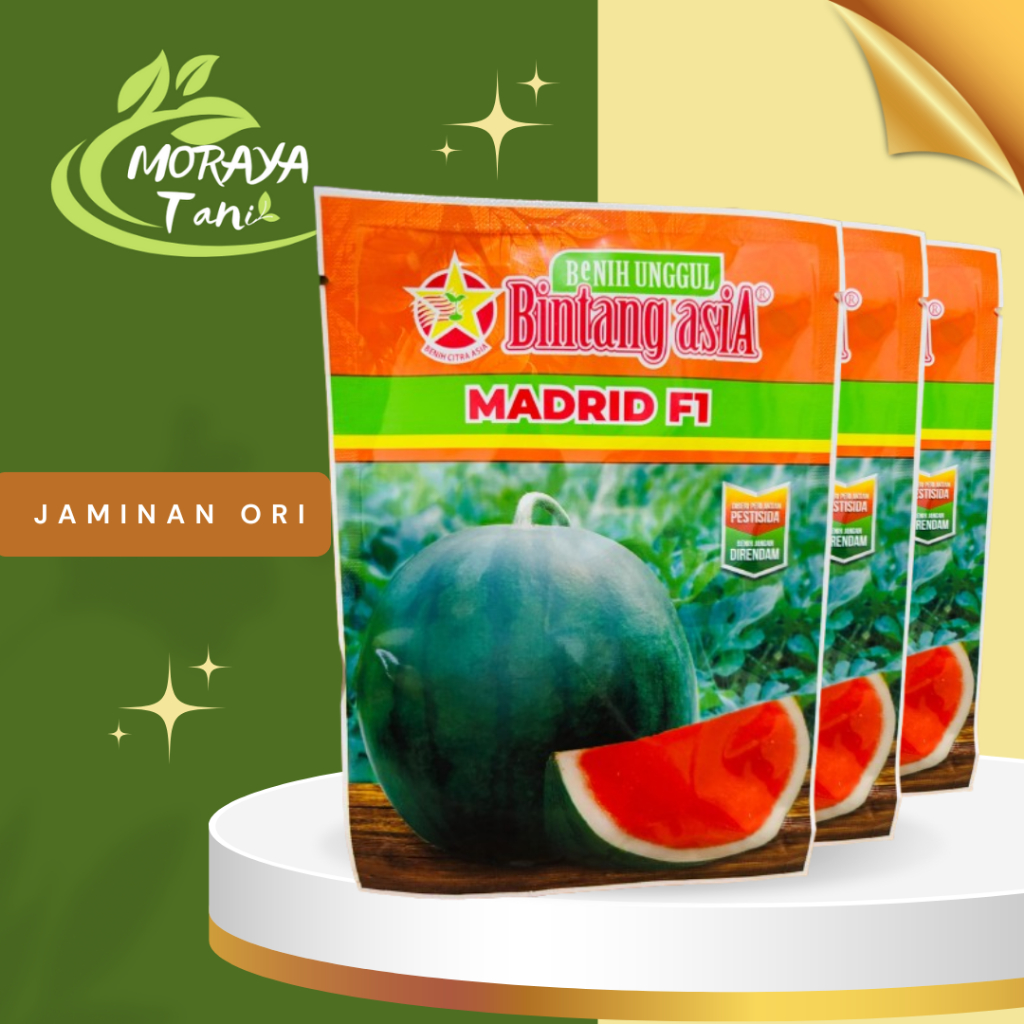 Benih semangka non biji Madrid 20 gram semangka seedless bca bintang asia
