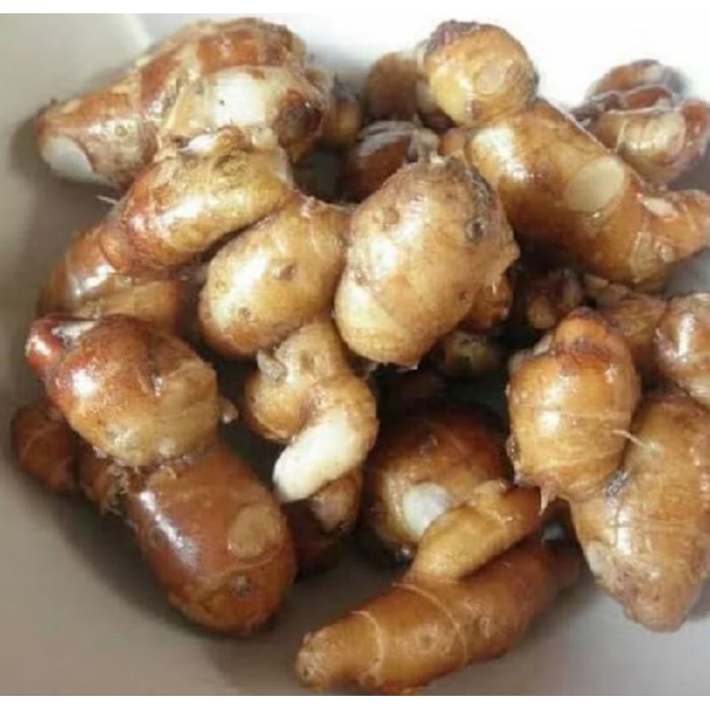 

kencur fresh 1000g