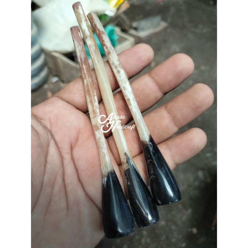 Pipa once / once cangklong tulang kalong tulang kelelawar