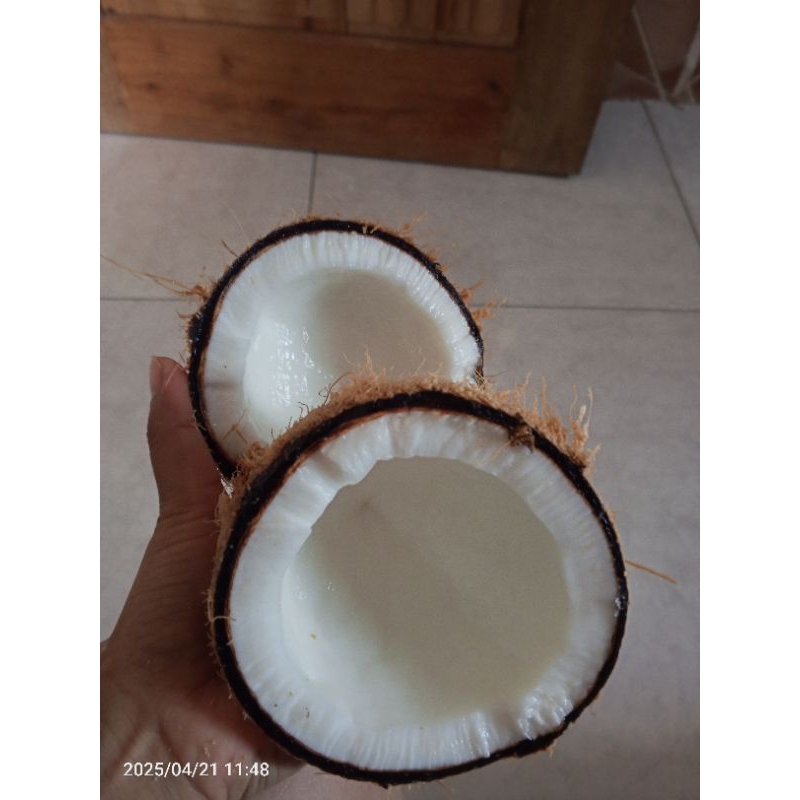 

KELAPA TUA / KAMBIL
