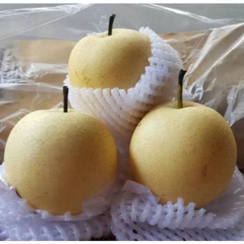 

[RBB] Buah Pir Century Fresh/Pir Renyah & Garing 1kg