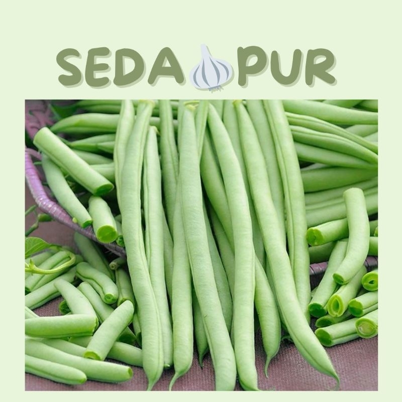 

BUNCIS SEGAR 1PACK
