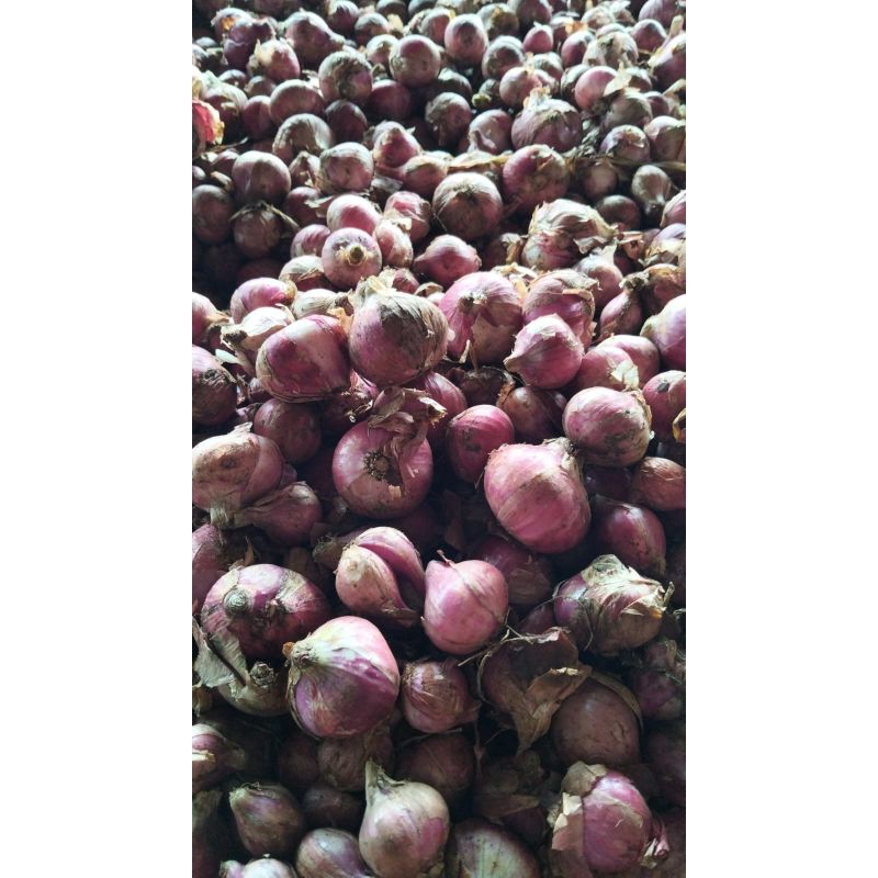 

bawang merah murah 1kg bawang merah lokal termurah flash sale murah meriah diskon