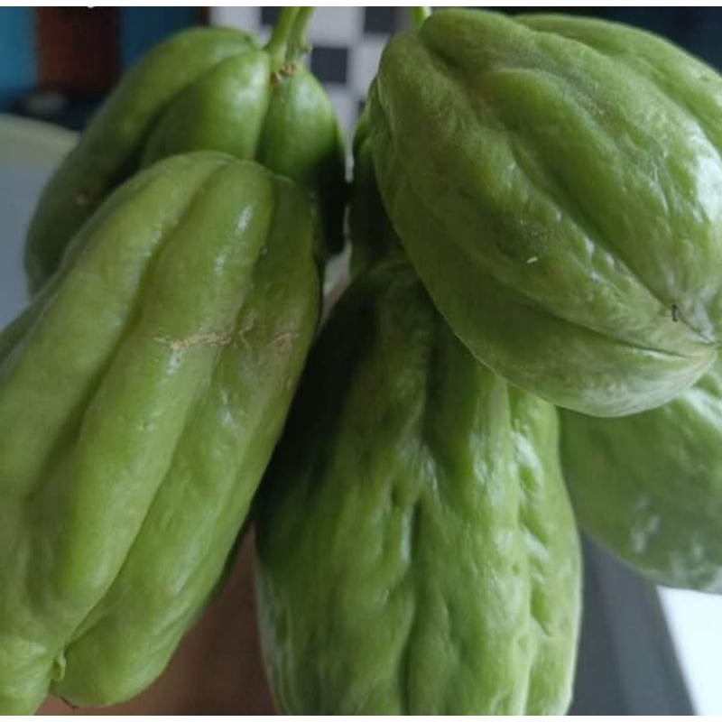 

labu siam fresh segar 500 gram