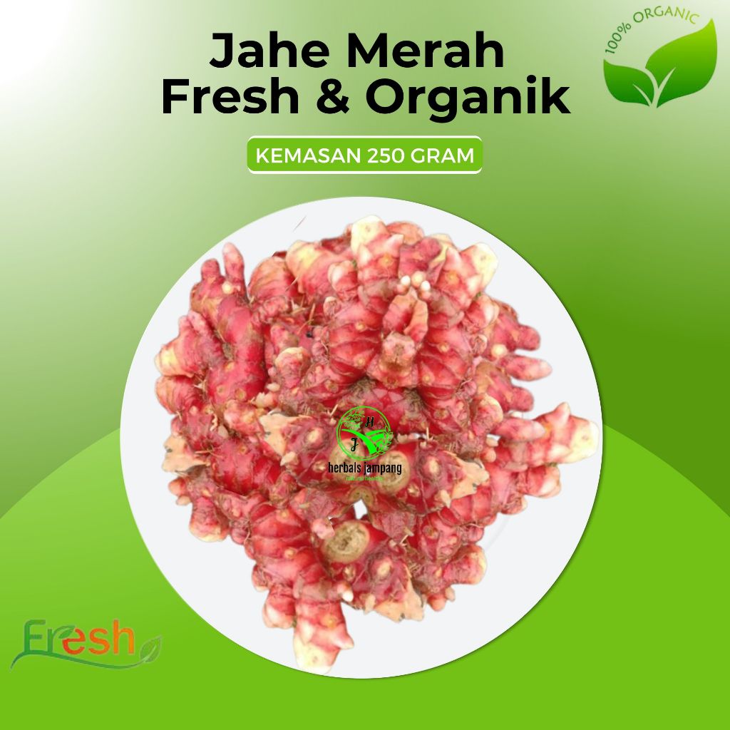 

jahe merah segar dan organik kemasan 250 gram dan 1 kilogram
