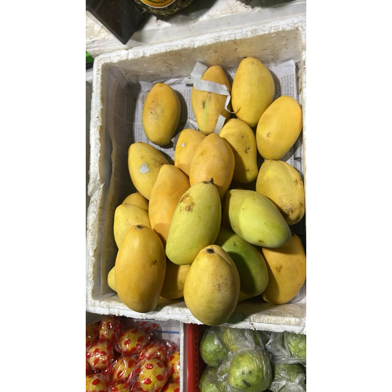 

Mangga Thailand enak manis