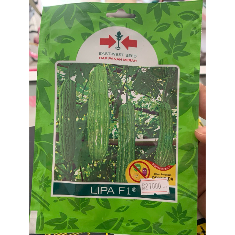 Benih Bibit Paria Lipa F1