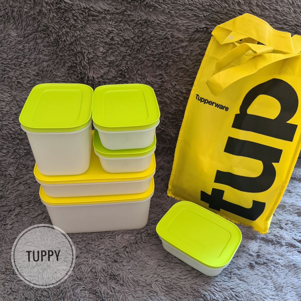 Tupperware frozy cozy set with bag