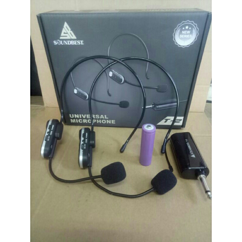 mic werles soundbest