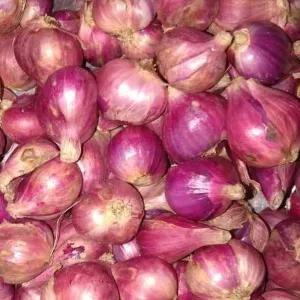 

bawang merah brebes besar 250 gr