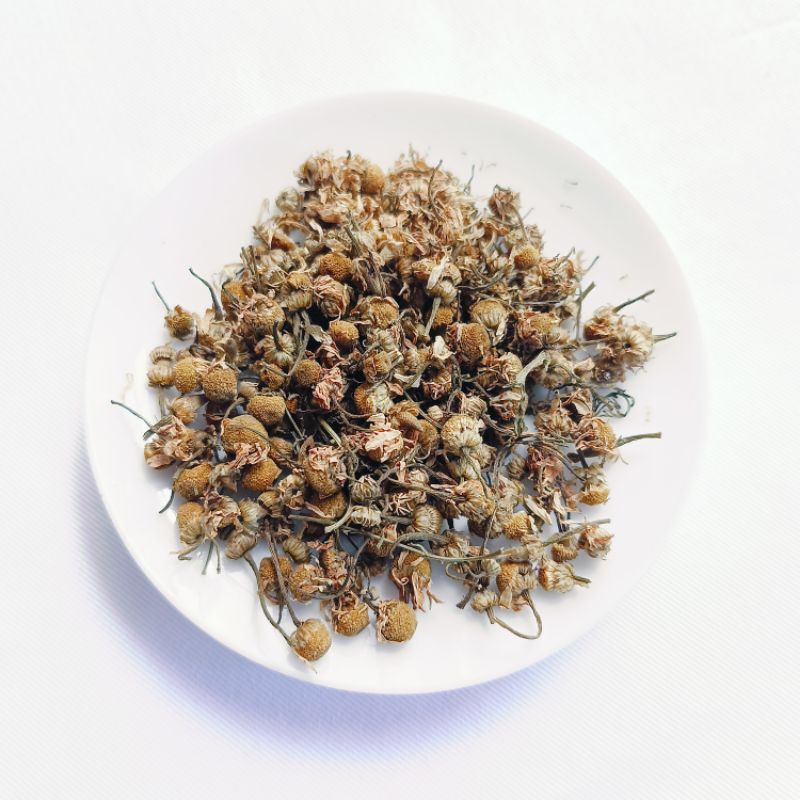 

Camomile flower bunga camomile liar