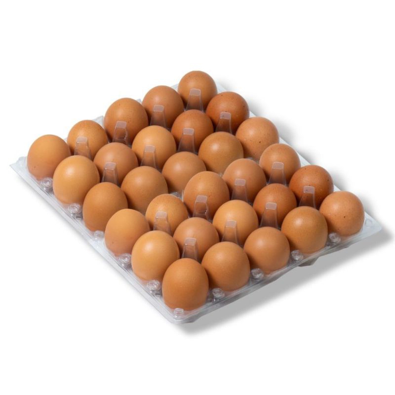 

Telur ayam omega 3 10 butir