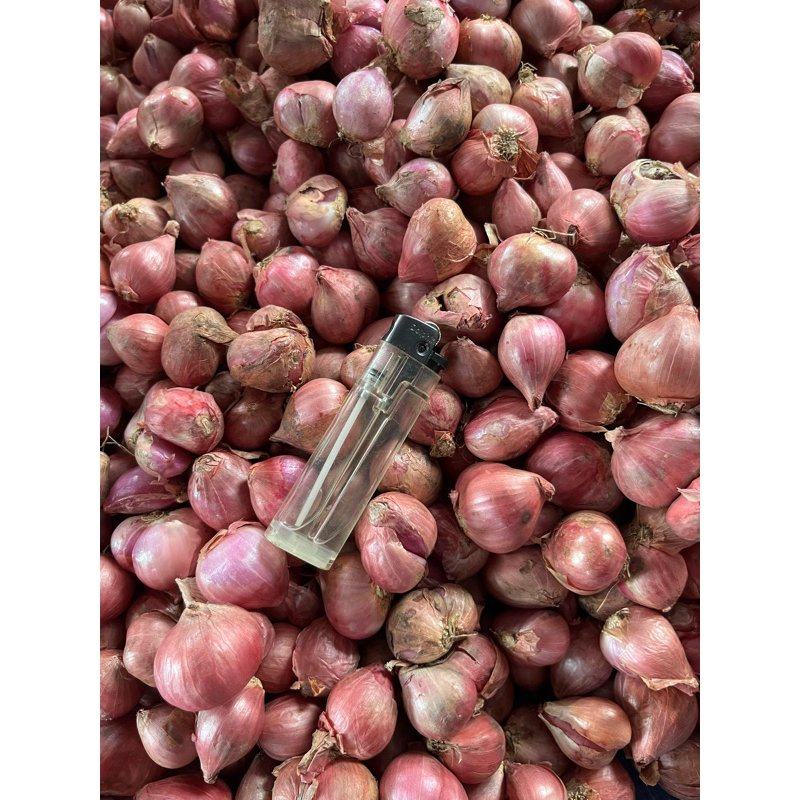 

Bawang Merah Super
