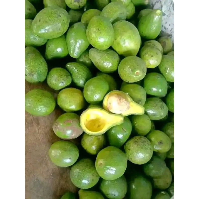 

Alpukat Mentega Matang 1 kg