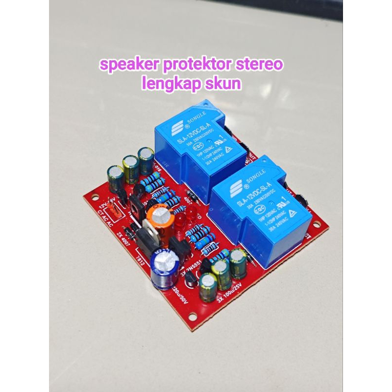 speaker protektor stereo