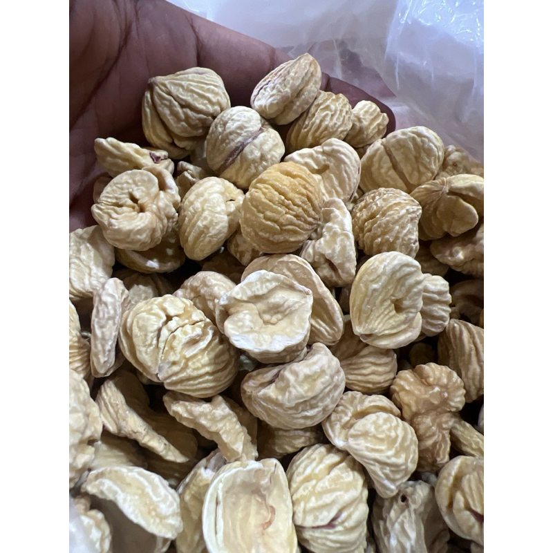 

lakci chestnut 100gram