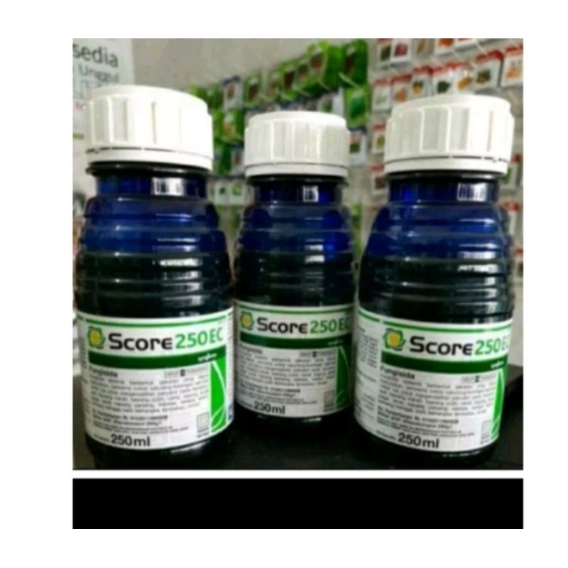 Score 250 ml