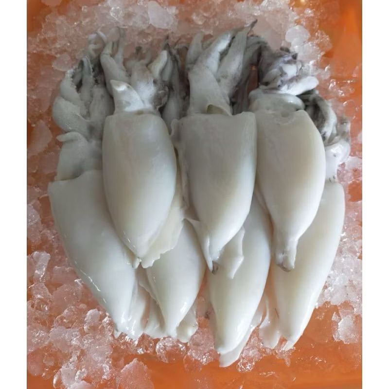 

sotong kupas frozen 1kg
