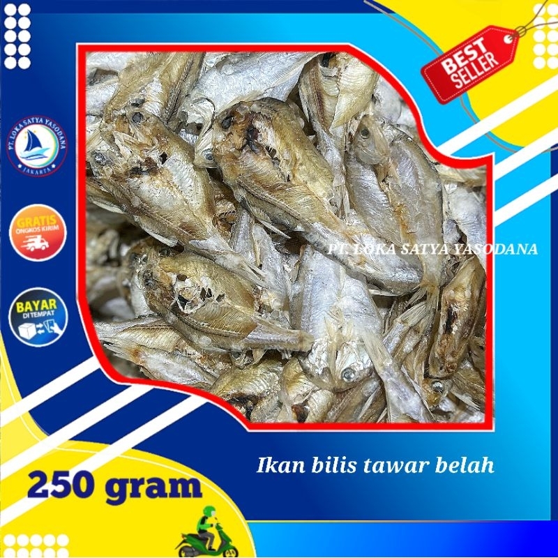 

ikan bilis tawar belah super 250gram