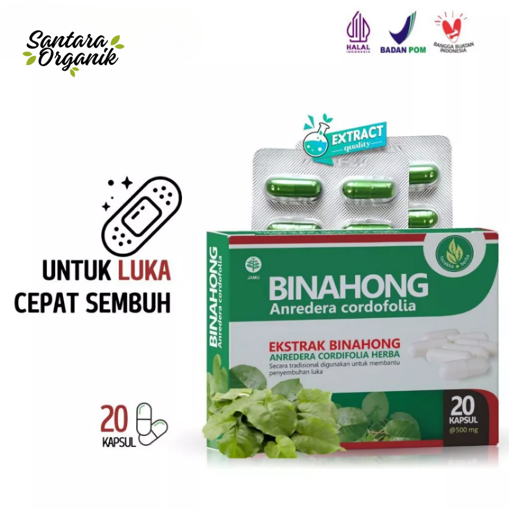 Obat Herbal Luka Pasca Operasi Ekstrak Daun Binahong Asli Tazakka Original 20 Kapsul
