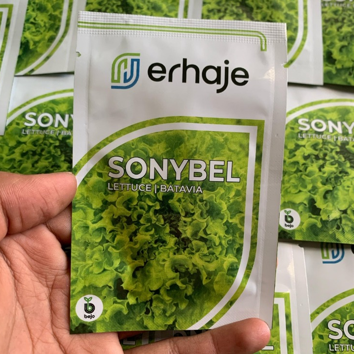 SONYBEL Benih selada batavia bejo seed