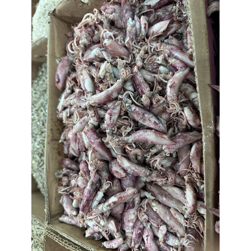 

Cumi Asin BK 250gram 500gram