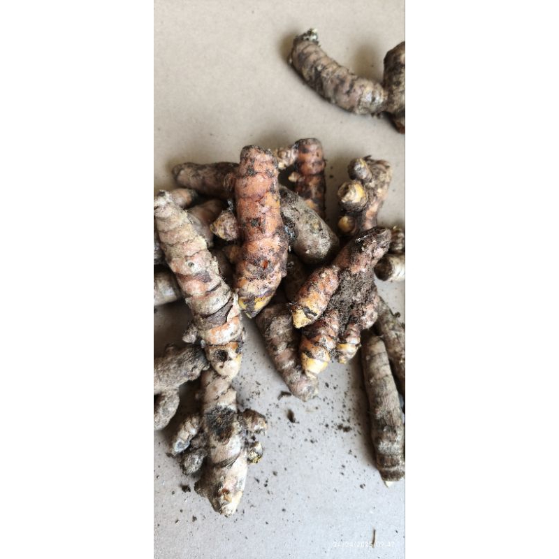 

kunyit sp Ab 500gram