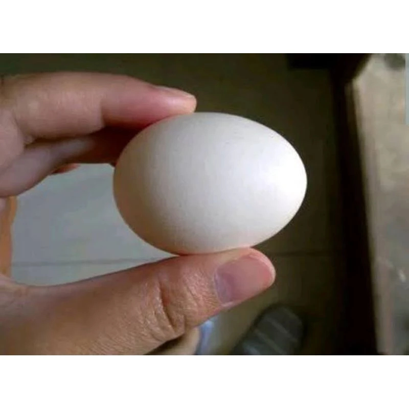 

Telur Ayam Kampung 1 Butir - Rizal Market