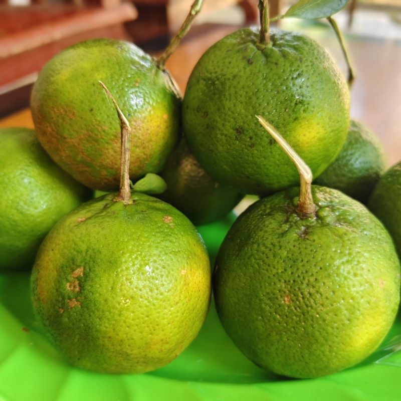 

jeruk keprok terigas rasa asam manis seger wangi khas jeruk squos cocok buat es jeruk peras 1 kg