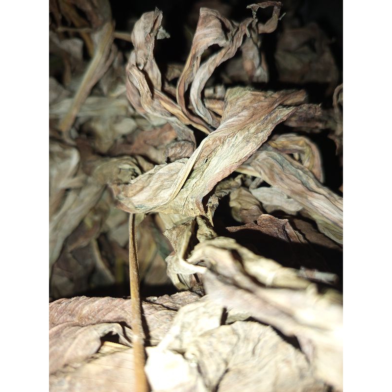 

promo daun kunyit kering 100gram