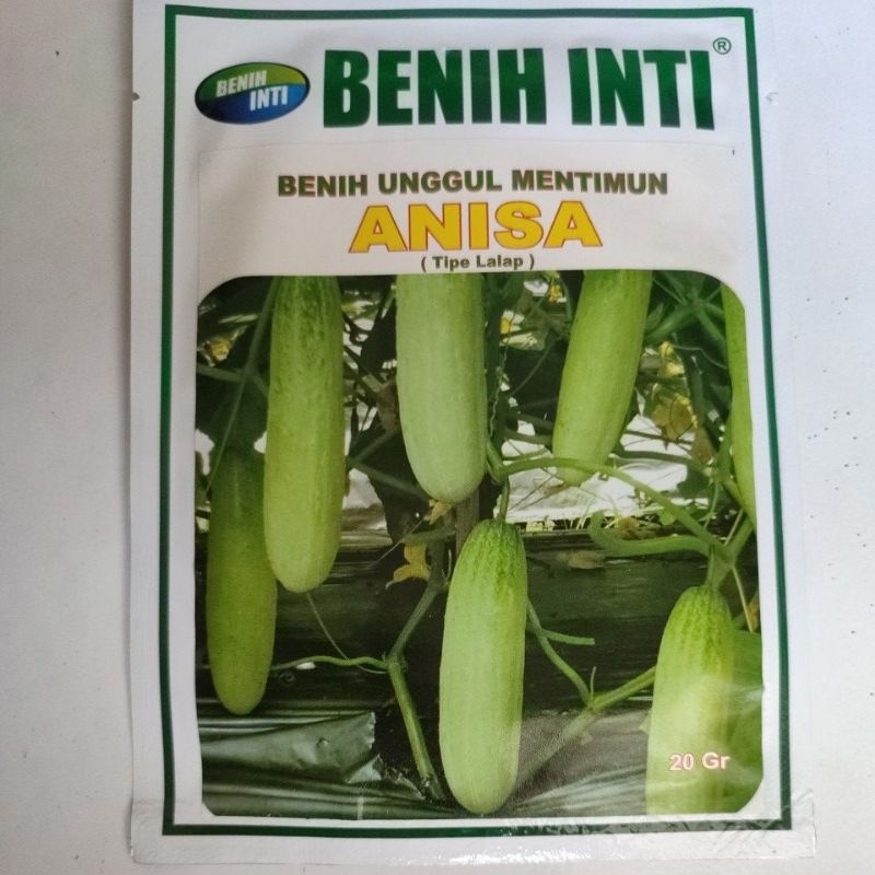 Timun lalap anisa 20 gram timun unggul